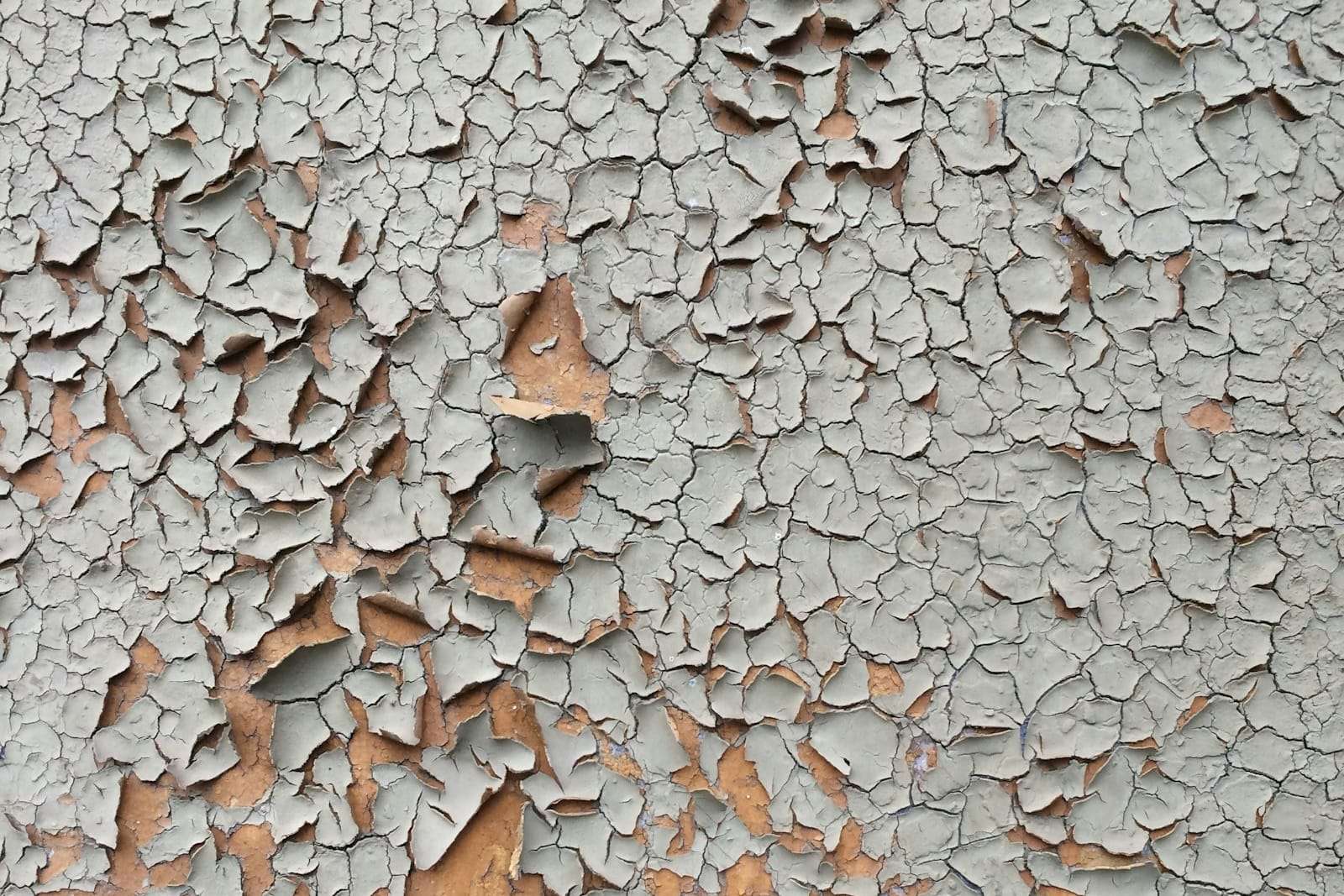 Close-up of cracked and peeling grey paint on a wall